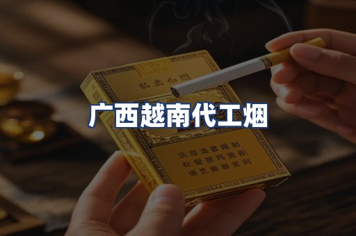 广西越南代工烟